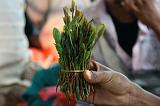 IMG_3677  khat